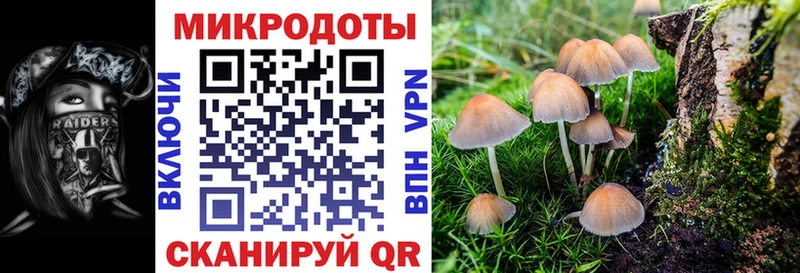 Псилоцибиновые грибы мухоморы  гидра   Гаджиево 